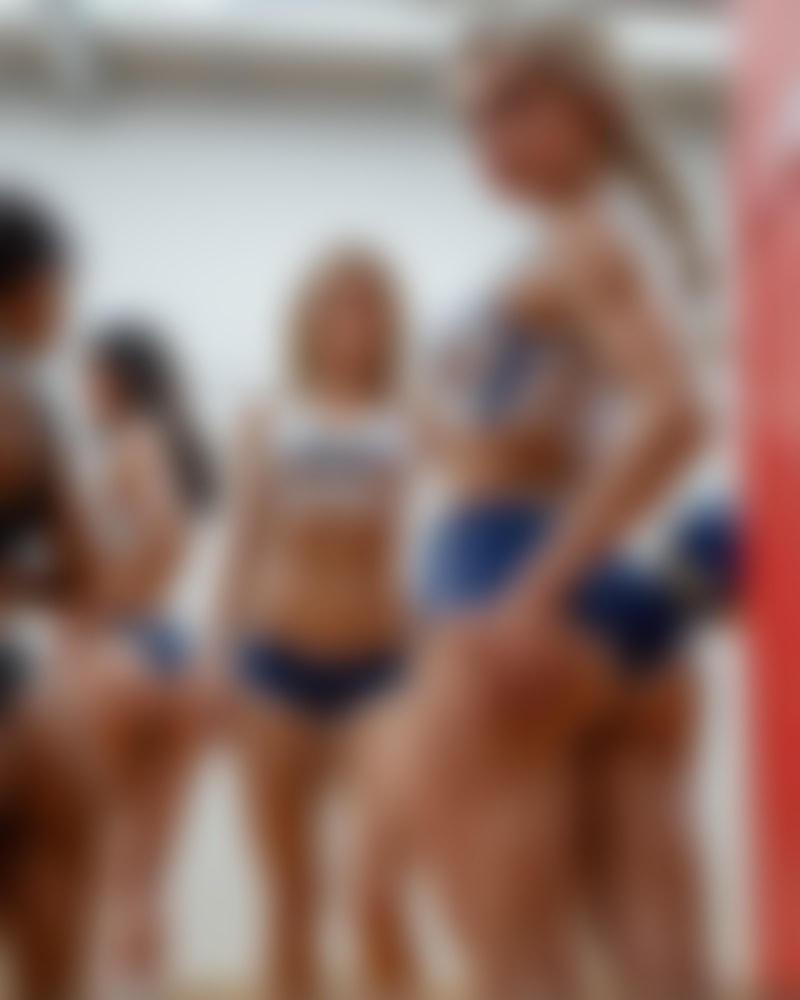 The Volleyball Team AI image