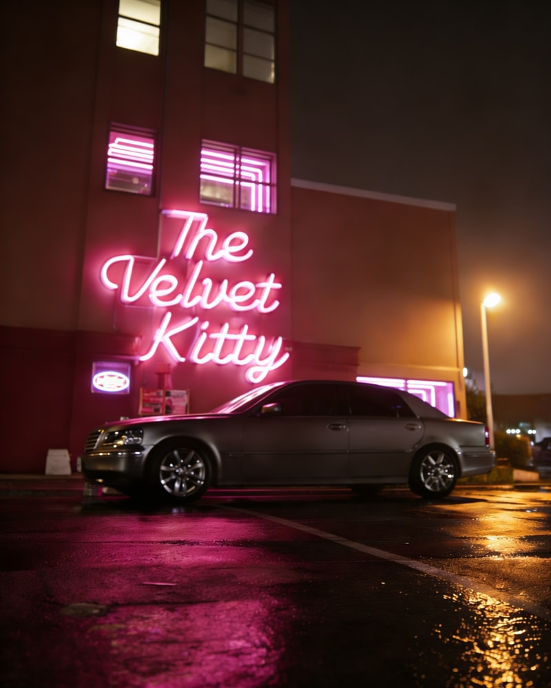 The Velvet Kitty: Strip Club 💋